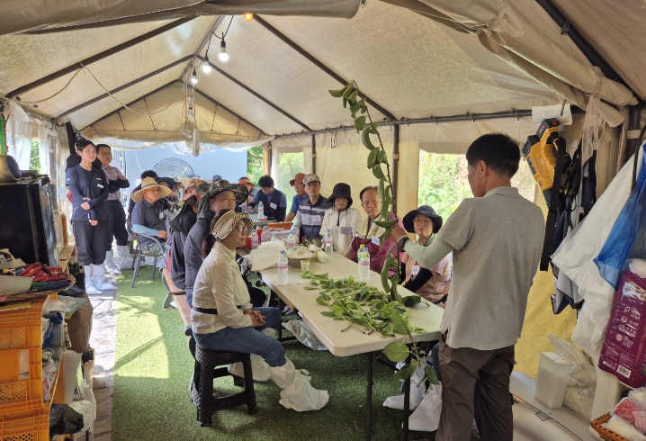 나주시, 농업인대학 ‘청년배전문반’ 교육생 모집