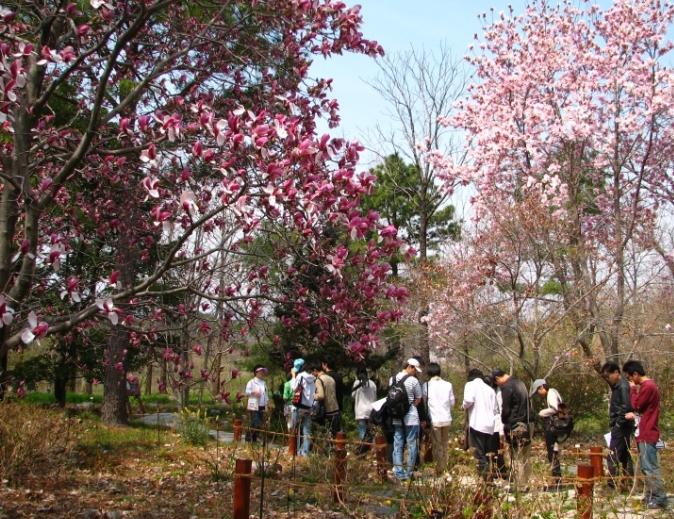 포항 기청산식물원, ‘꼭 가봐야 할 수목원 10선’ 3년 연속 선정 쾌거