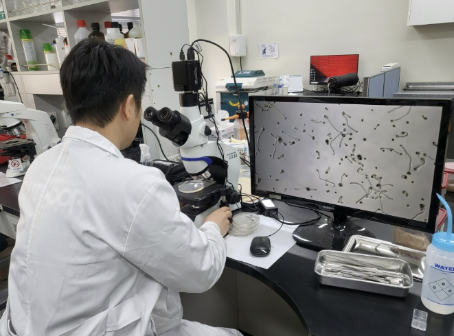 당진시, 꽃가루 발아율 검정 서비스 실시