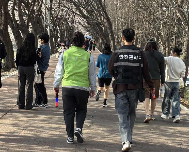 안양천 벚꽃시즌 시민 안전 최우선…금천구, 총력 대응