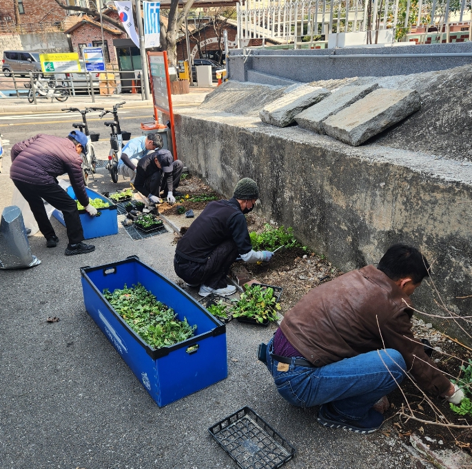 성북동, 봄맞이 거리 정비·꽃 식재로 쾌적한 마을 조성