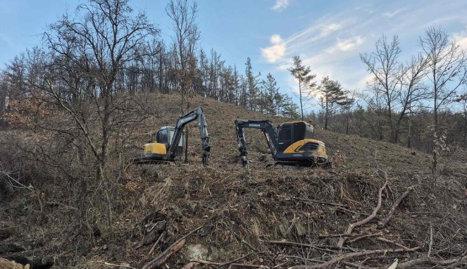 의성군, 산불피해지 벌채사면 정비계획 추진