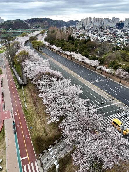 진주시, 체류형 글로벌 관광상품으로 인바운드 관광시장 개척 