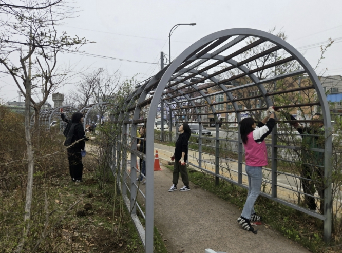 수원시 권선구 세류1동, 수원역 급수탑 인근 장미터널 새단장