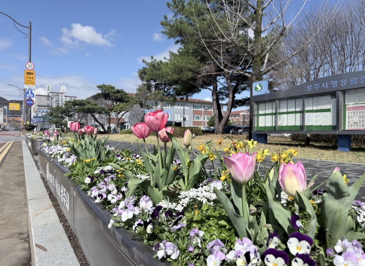 상주시, 도심 속 봄꽃으로 물들다
