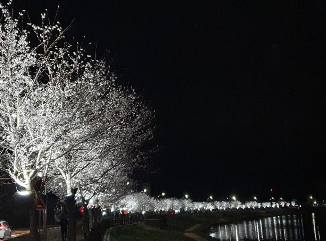 곡성군 옥과천, 빛으로 물들다…감성 야경 명소로 변신