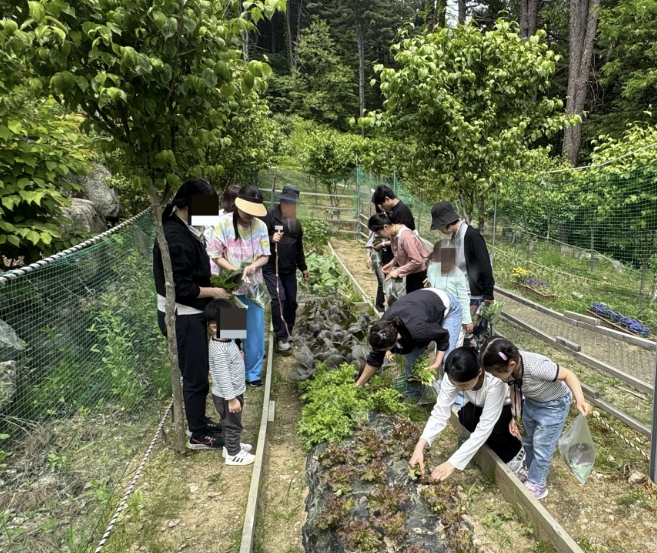 가평군 '숲의 약속', 가족 힐링캠프 선착순 모집
