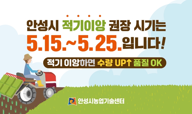 안성시, "고품질 안성쌀 생산의 시작은 품종별 적기 이앙부터"