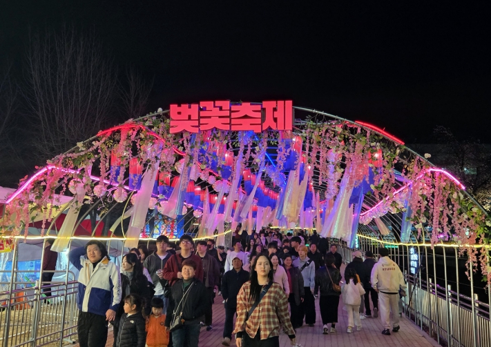 벚꽃 따라 걷고 머무는 봄 안동 벚꽃축제 성황 속 개막