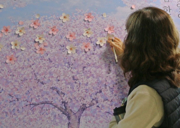 당진교육지원청, 봄 맞이 ‘청렴 벚꽃 피우기’ 행사 운영 