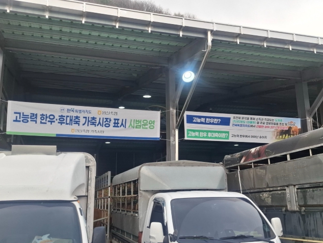 전북자치도, 고능력 한우 가축시장 표시제’첫 도입