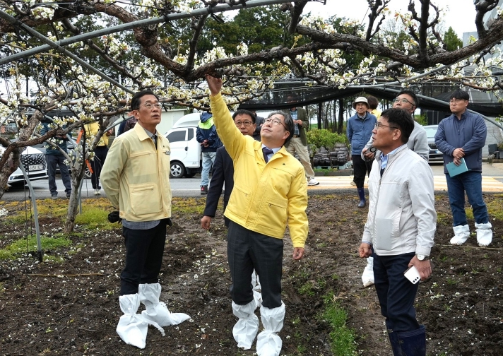 강상구 나주시장 권한대행, 우박 피해 배 농가 현장 방문