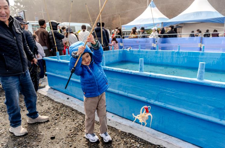 제24회 서천 동백꽃 주꾸미 축제, 27만 명 인파 몰려 

