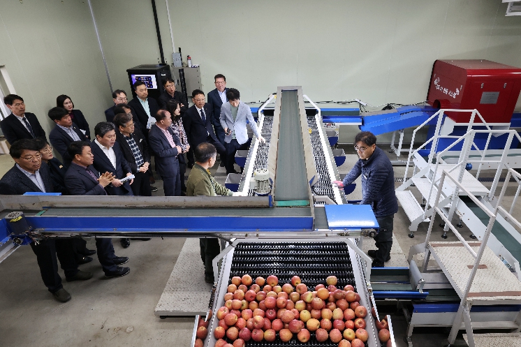 무주군, 인공지능 선별시스템 도입 고품질 반딧불사과 유통 기대
