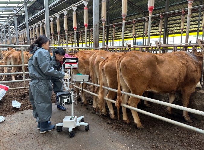 충북도, 한우 개량지원사업 실적평가‘전국 1위’달성