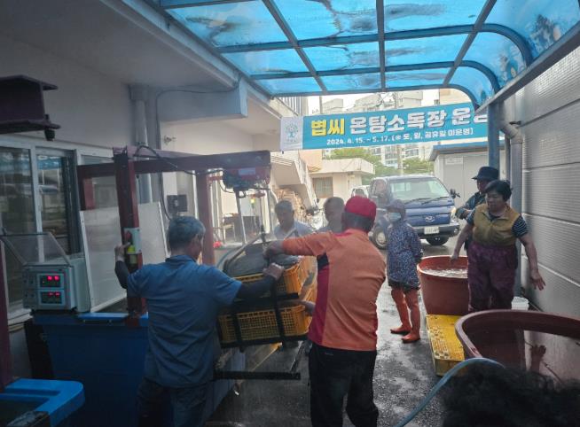 곡성군, 친환경 볍씨 온탕소독으로 벼농사 시작 알려