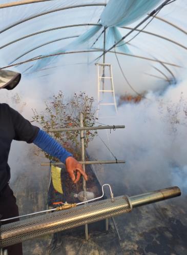 담양군, 봄철 ‘마을 일제 방역’ 총력… 해충 조기 박멸 나선다
