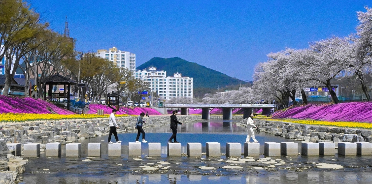 순창군, 2026년 공약이행평가 ‘3년연속 SA등급’ 역대 최고성과