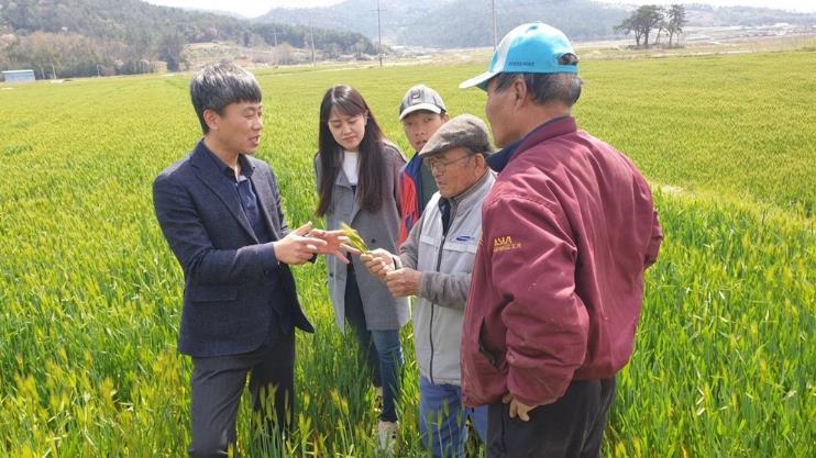 강진군, 봄철 집중호우에 철저한 맥류 사후관리 강조
