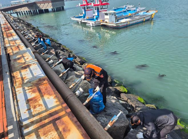 해양환경구조협회 강진구조대, 놀토수산시장 해양 정화활동 전개 
