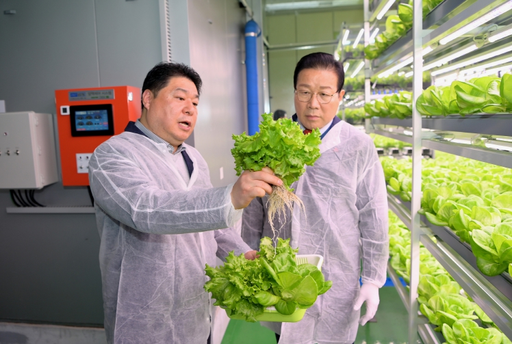부산 동구, 전국최초 자활사업 스마트팜 '샐러드와팜' 개소