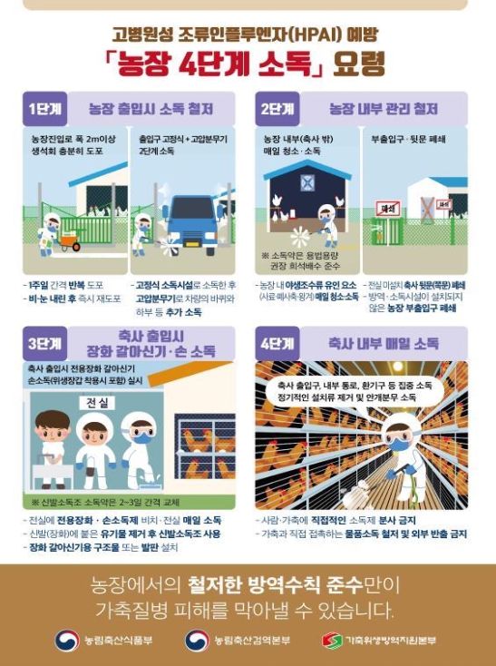 농림축산식품부, 전북 부안 육용오리 농장에 대한 정기 예찰 검사에서 H5형 조류인플루엔자 항원 확인