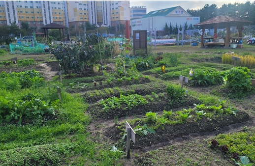 부산시, 2025년 시민 공영텃밭 참가자 110명 모집