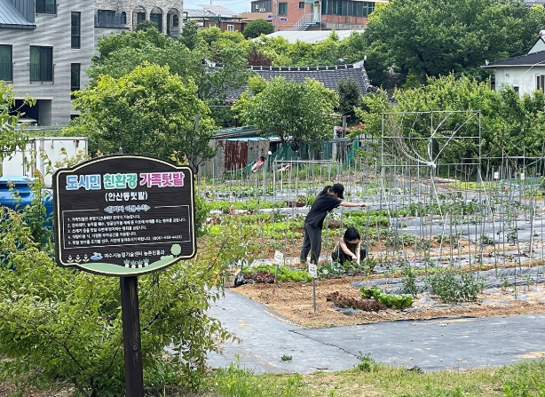 여수시, 도시민 친환경 가족텃밭 참여 185세대 모집