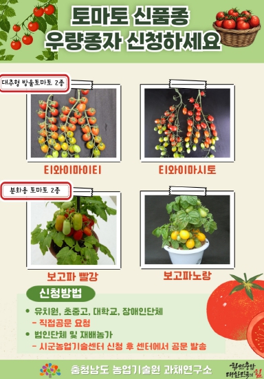 충남도, 토마토 신품종 우량종자 신청하세요