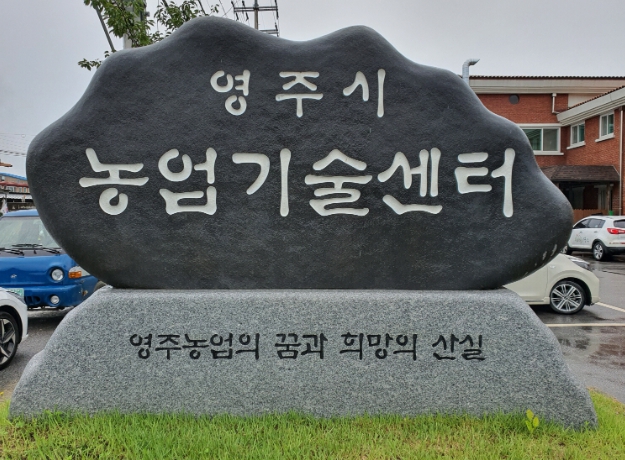 영주시, 콩, 팥 보급종 신청하세요