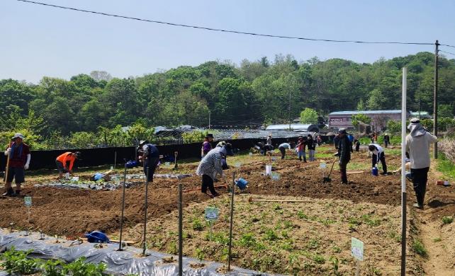 구로구, 2025년 주말농장 분양… 540구획 분양 신청·접수