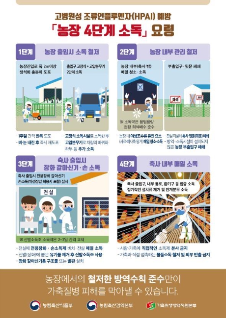 농식품부, 전북 김제 산란계 농장에서 H5형 조류인플루엔자 항원 확인