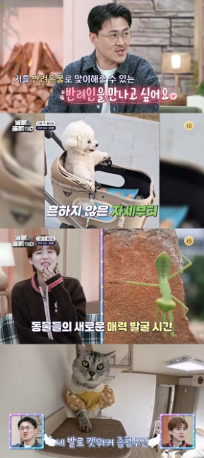 '동물은 훌륭하다' 데프콘, 새해 핑크빛 목표 공개 "날 반려동물로 맞아줄 반려인 찾는다"