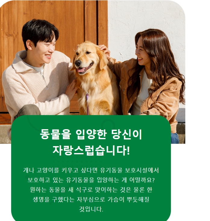 김해시 유기견 입양비 지원마리당 최대 15만원