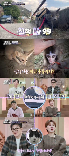 '동물은 훌륭하다' 장도연, "거짓말 아녜요?" 격한 리액션 부른 외출 중독 '산책냥' 등장! 