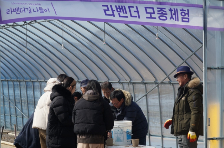공주시, ‘라벤더길 나들이 떠나요~’