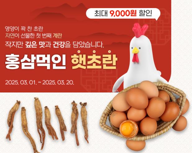 진주시 농특산물쇼핑몰, 봄맞이‘홍삼먹인 햇 초란’할인 행사 진행
