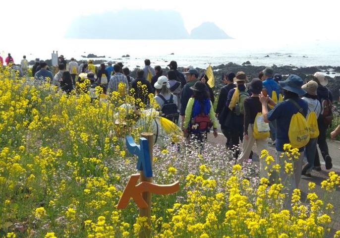 서귀포시, 제28회 서귀포 유채꽃 국제걷기대회 성황리 개최