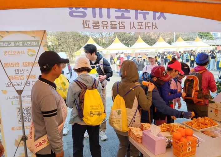 서귀포시, 유채꽃 걷기 대회와 함께한 만감류 홍보!