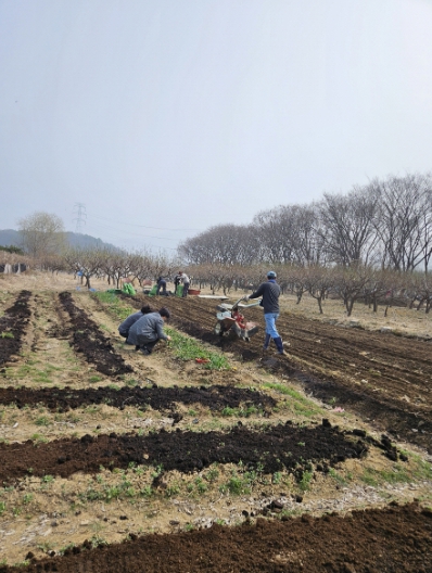 고양시 삼송2동 주민자치회, ‘이웃과 함께하는 텃밭 이야기’ 사업 시작