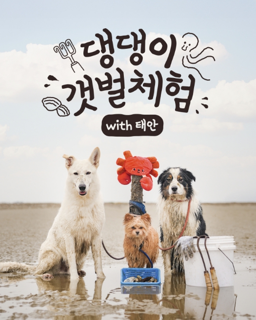 태안군, 반려동물 동반 '병술만 갯벌 체험 프로그램' 운영