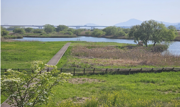 부산 예비부부, 큰고니와 함께 웨딩사진 추억 만든다
