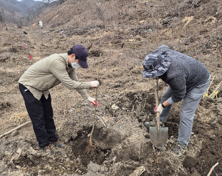 경기도, ‘꿀’만 따는 나무 넘어 ‘돈’ 되는 산림 만든다…밀원수 실증 연구 박차