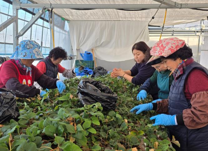 전남도 여성농업인 복지사업, 더 넓고 두터워진다