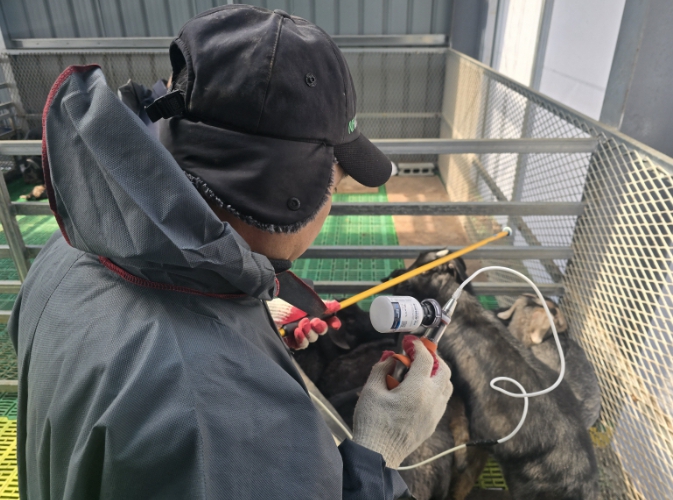 부여군, 춘계 가축방역 사업 만전
