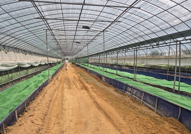 김해시 “여름철 악취 민원 선제 대응 지렁이 사육농가 전수 점검”