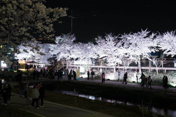 천안시, 4월 한 달간 ‘봄꽃향연’ 모바일 스탬프투어 운영