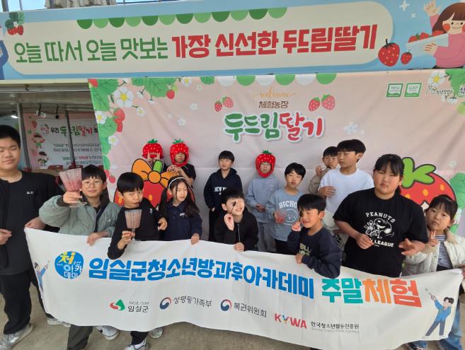 임실군 청소년방과후아카데미 “딸기체험” 운영으로 농촌의 즐거움 만끽