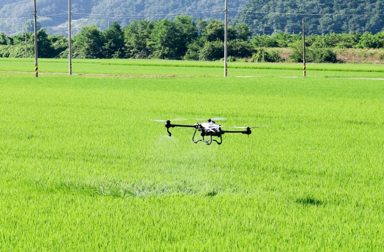 성주군, ‘공동방제는 벼농사의 필수, 지금 신청하세요’