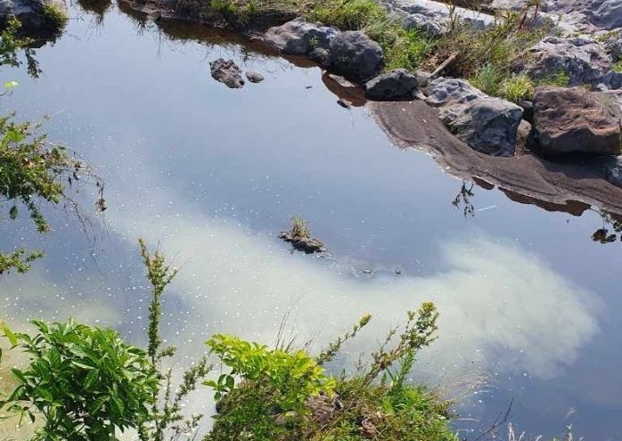 서귀포시, 농번기 대비 공공수역 수질오염 예방 특별 점검·홍보 실시